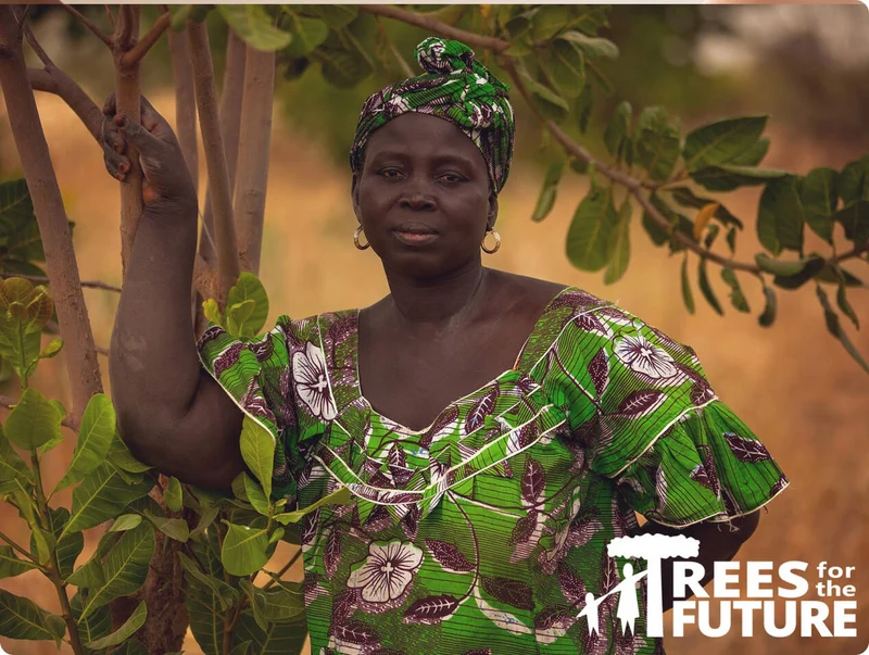 Trees for the Future partnership