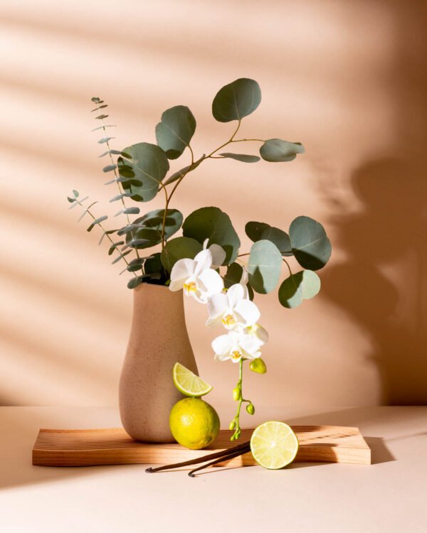 tranquil tonka & sweet sandalwood™ fragrance oil