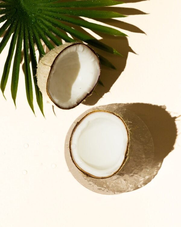 fresh coconut fragrance oil accord