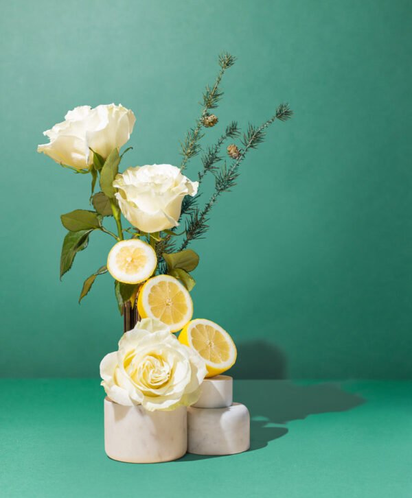 gilded rose & spruce™ fragrance oil
