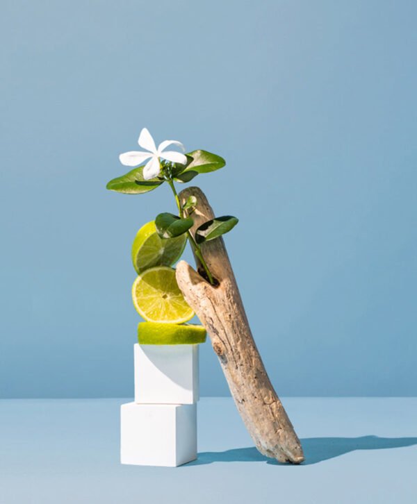 lemon blossom & sea mist™ fragrance oil