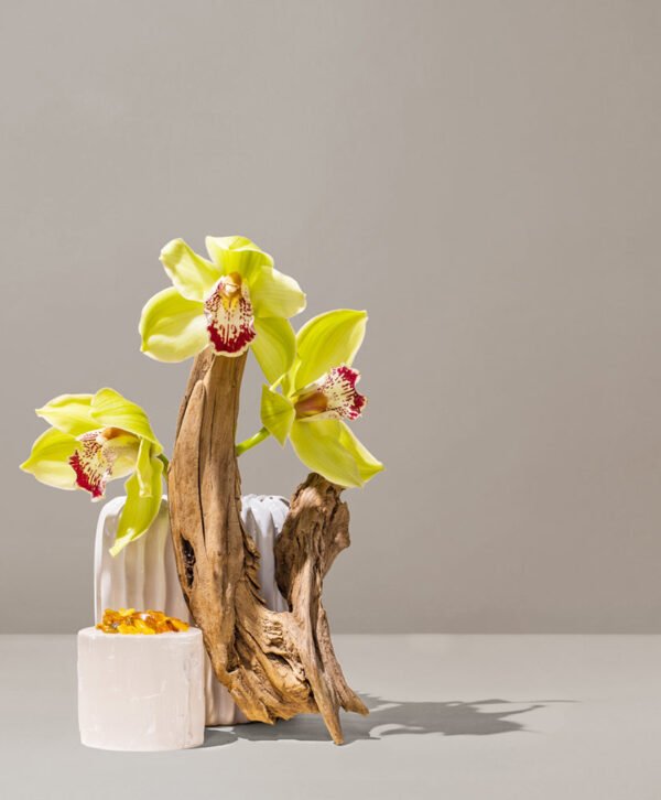 orchid & black amber™ fragrance oil