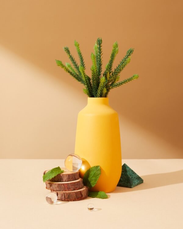 jade fir & baltic cypress™ fragrance oil